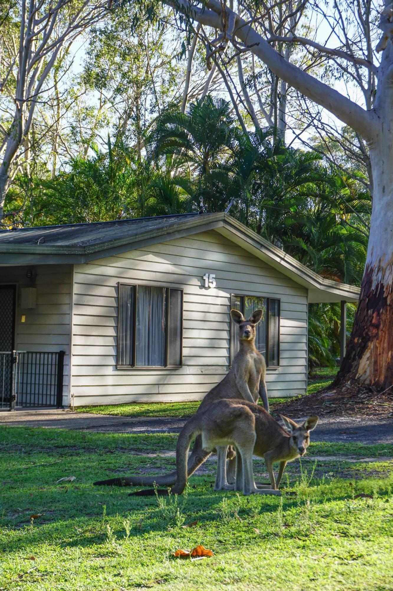 Big4 Noosa North Shore Екстериор снимка