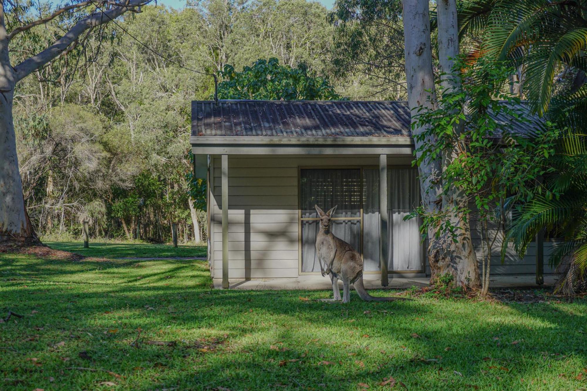 Big4 Noosa North Shore Екстериор снимка