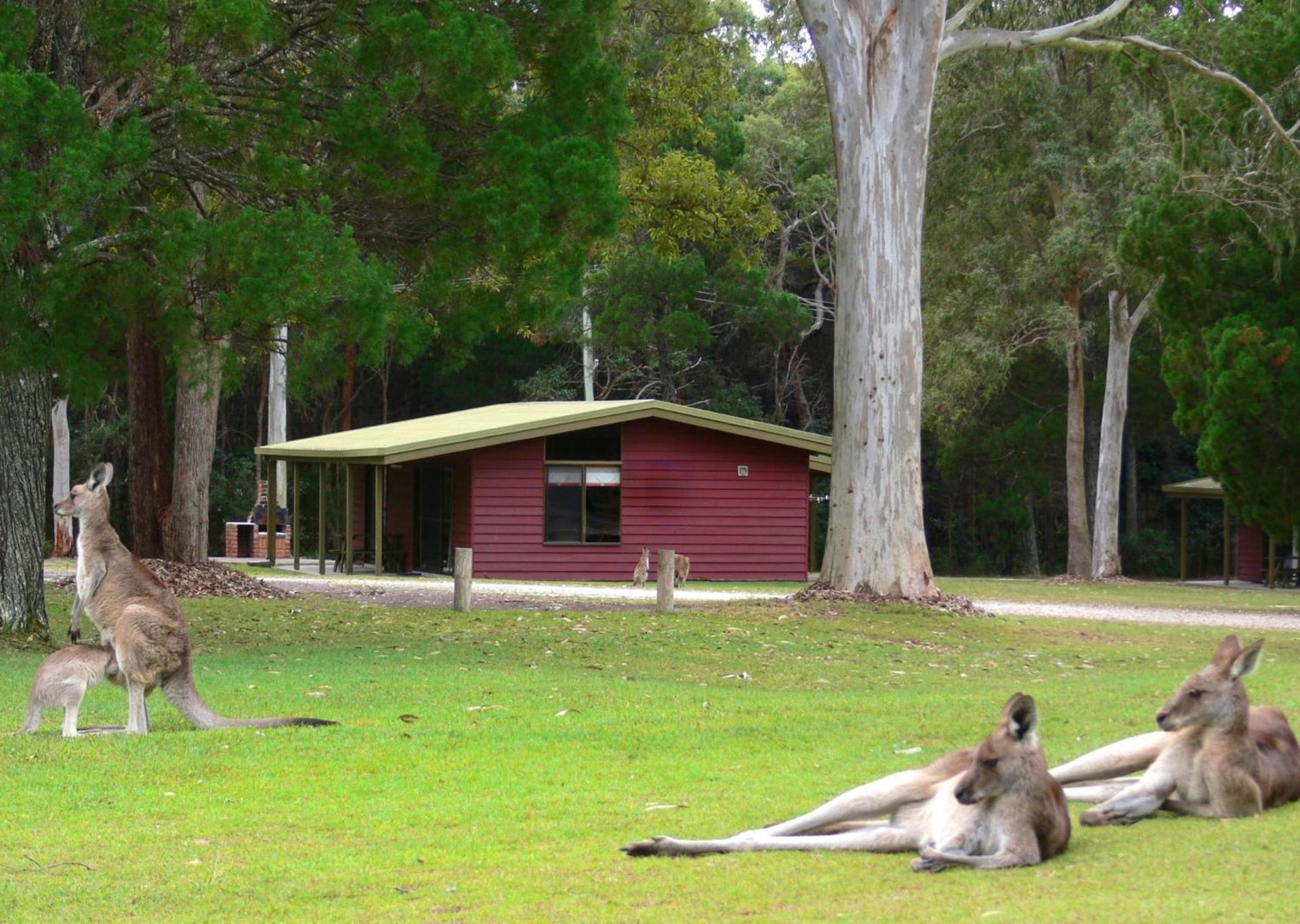 Big4 Noosa North Shore Екстериор снимка